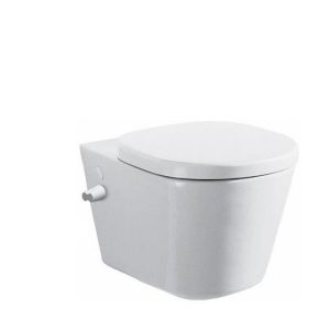 Ideal Standard Tonic toilet with shower, including seat and tank, different colours