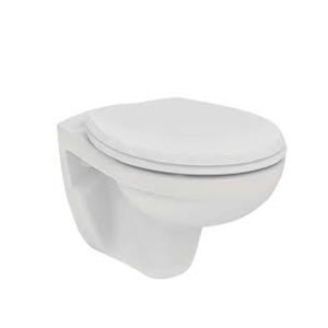 Ideal Standard Space toilet with shower and valve